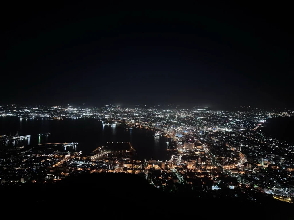 山頂から見下ろした、海に挟まれた湾曲する地形と街の灯りが美しい函館の夜景